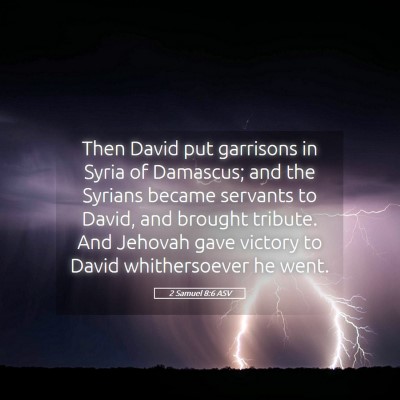 Picture 05 - 2 Samuel 8:6 ASV - Then David put garrisons in Syria of Damascus; - Bible Verse Picture