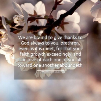 Picture 05 - 2 Thessalonians 1:3 ASV - We are bound to give thanks to God always to you, - Bible Verse Picture