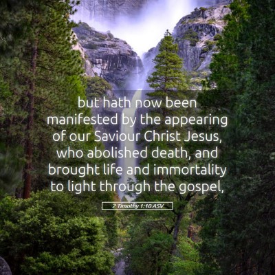Picture 05 - 2 Timothy 1:10 ASV - but hath now been manifested by the appearing of - Bible Verse Picture