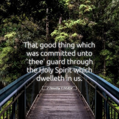 Picture 05 - 2 Timothy 1:14 ASV - That good thing which was committed unto `thee' - Bible Verse Picture