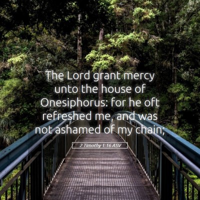 Picture 05 - 2 Timothy 1:16 ASV - The Lord grant mercy unto the house of - Bible Verse Picture