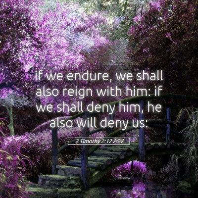 Picture 05 - 2 Timothy 2:12 ASV - if we endure, we shall also reign with him: if we - Bible Verse Picture