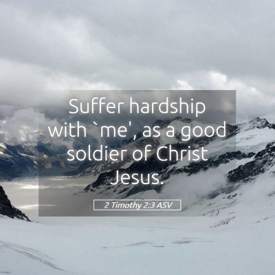 Picture 05 - 2 Timothy 2:3 ASV - Suffer hardship with `me', as a good soldier of - Bible Verse Picture