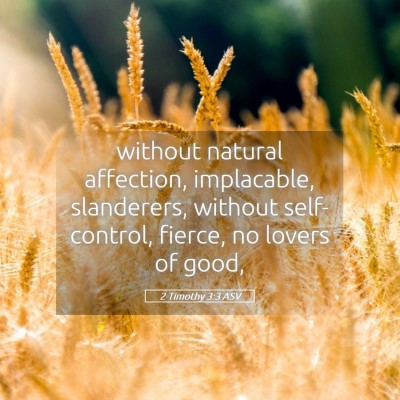 Picture 05 - 2 Timothy 3:3 ASV - without natural affection, implacable, - Bible Verse Picture