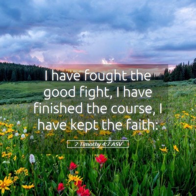 Picture 05 - 2 Timothy 4:7 ASV - I have fought the good fight, I have finished the - Bible Verse Picture