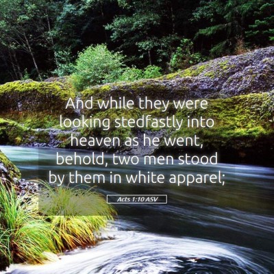 Picture 05 - Acts 1:10 ASV - And while they were looking stedfastly into - Bible Verse Picture