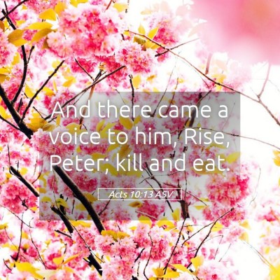 Picture 05 - Acts 10:13 ASV - And there came a voice to him, Rise, Peter; kill - Bible Verse Picture