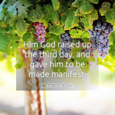 Picture 05 - Acts 10:40 ASV - Him God raised up the third day, and gave him to - Bible Verse Picture
