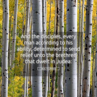 Picture 05 - Acts 11:29 ASV - And the disciples, every man according to his - Bible Verse Picture