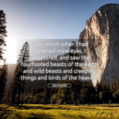 Picture 05 - Acts 11:6 ASV - upon which when I had fastened mine eyes, I - Bible Verse Picture