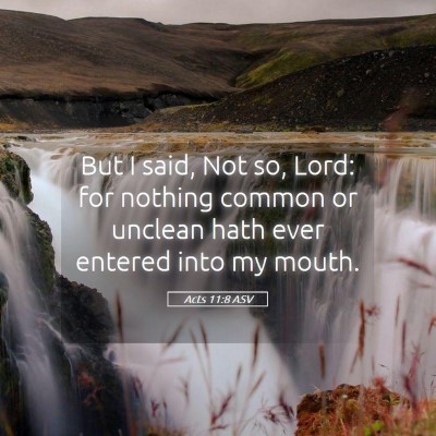 Picture 05 - Acts 11:8 ASV - But I said, Not so, Lord: for nothing common or - Bible Verse Picture