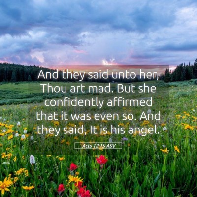 Picture 05 - Acts 12:15 ASV - And they said unto her, Thou art mad. But she - Bible Verse Picture