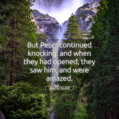 Picture 05 - Acts 12:16 ASV - But Peter continued knocking: and when they had - Bible Verse Picture