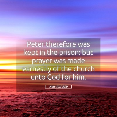 Picture 05 - Acts 12:5 ASV - Peter therefore was kept in the prison: but - Bible Verse Picture
