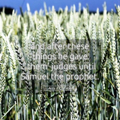 Picture 05 - Acts 13:20 ASV - and after these things he gave `them' judges - Bible Verse Picture