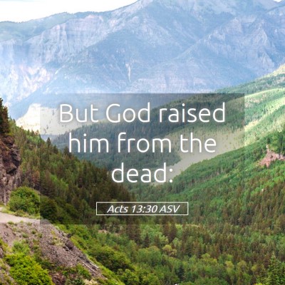 Picture 05 - Acts 13:30 ASV - But God raised him from the - Bible Verse Picture
