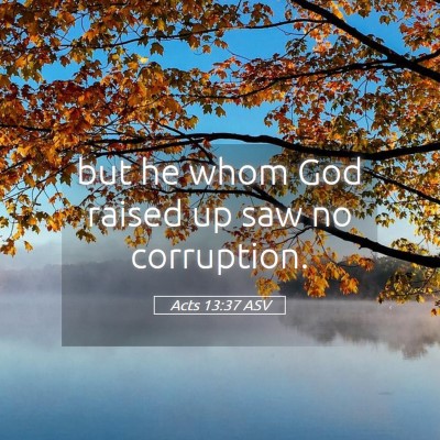 Picture 05 - Acts 13:37 ASV - but he whom God raised up saw no - Bible Verse Picture