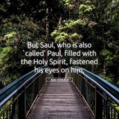Picture 05 - Acts 13:9 ASV - But Saul, who is also `called' Paul, filled with - Bible Verse Picture