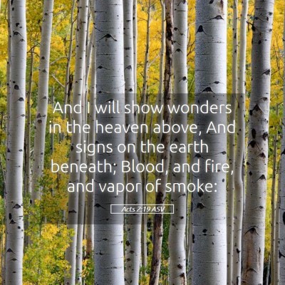 Picture 05 - Acts 2:19 ASV - And I will show wonders in the heaven above, And - Bible Verse Picture