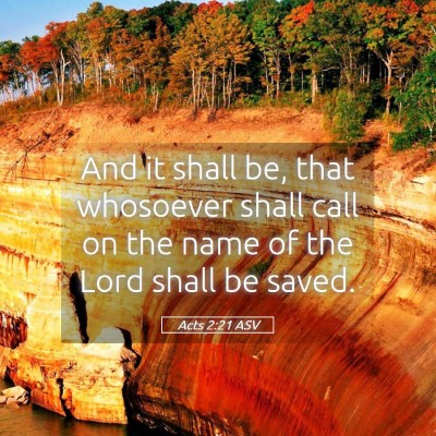 Picture 05 - Acts 2:21 ASV - And it shall be, that whosoever shall call on the - Bible Verse Picture