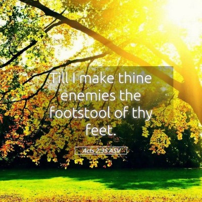 Picture 05 - Acts 2:35 ASV - Till I make thine enemies the footstool of thy - Bible Verse Picture
