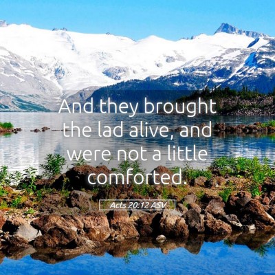 Picture 05 - Acts 20:12 ASV - And they brought the lad alive, and were not a - Bible Verse Picture