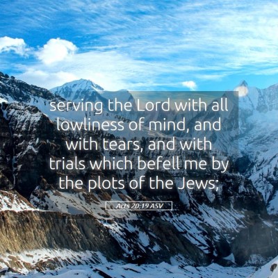 Picture 05 - Acts 20:19 ASV - serving the Lord with all lowliness of mind, and - Bible Verse Picture