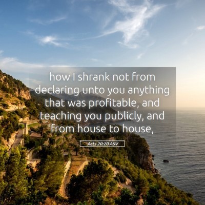 Picture 05 - Acts 20:20 ASV - how I shrank not from declaring unto you anything - Bible Verse Picture