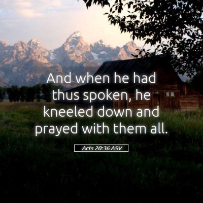 Picture 05 - Acts 20:36 ASV - And when he had thus spoken, he kneeled down and - Bible Verse Picture