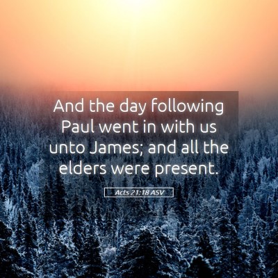 Picture 05 - Acts 21:18 ASV - And the day following Paul went in with us unto - Bible Verse Picture