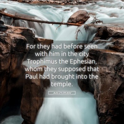 Picture 05 - Acts 21:29 ASV - For they had before seen with him in the city - Bible Verse Picture