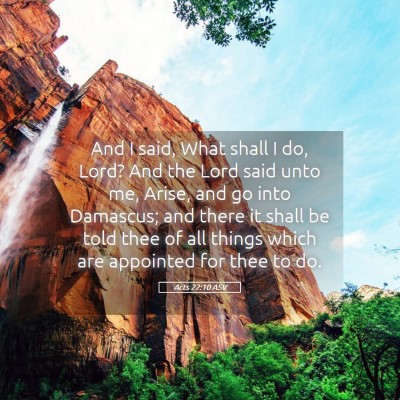 Picture 05 - Acts 22:10 ASV - And I said, What shall I do, Lord? And the Lord - Bible Verse Picture