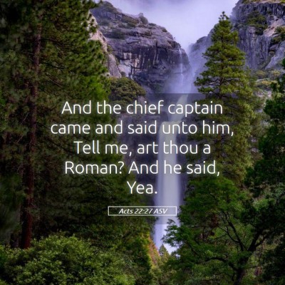 Picture 05 - Acts 22:27 ASV - And the chief captain came and said unto him, - Bible Verse Picture