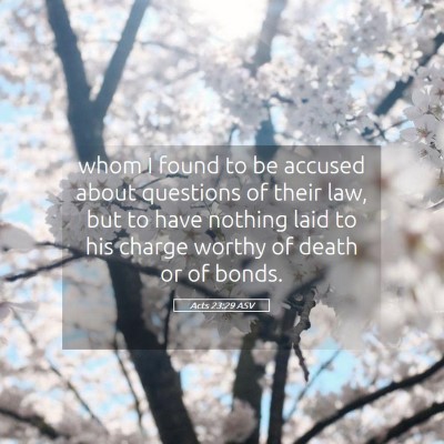Picture 05 - Acts 23:29 ASV - whom I found to be accused about questions of - Bible Verse Picture