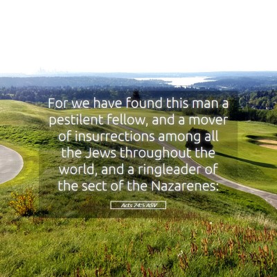 Picture 05 - Acts 24:5 ASV - For we have found this man a pestilent fellow, - Bible Verse Picture