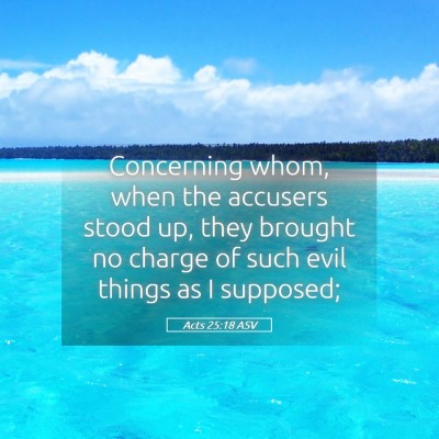 Picture 05 - Acts 25:18 ASV - Concerning whom, when the accusers stood up, they - Bible Verse Picture