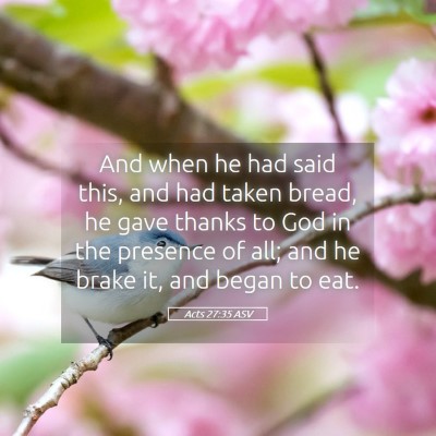 Picture 05 - Acts 27:35 ASV - And when he had said this, and had taken bread, - Bible Verse Picture