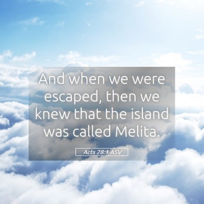 Picture 05 - Acts 28:1 ASV - And when we were escaped, then we knew that the - Bible Verse Picture