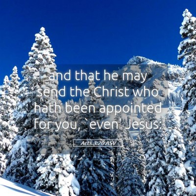 Picture 05 - Acts 3:20 ASV - and that he may send the Christ who hath been - Bible Verse Picture