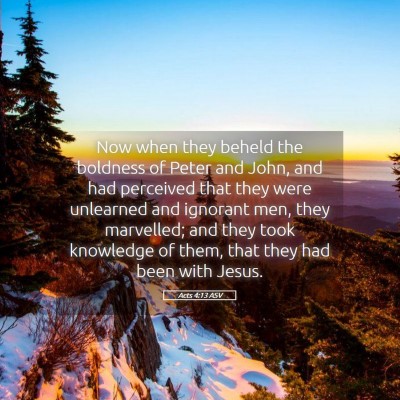 Picture 05 - Acts 4:13 ASV - Now when they beheld the boldness of Peter and - Bible Verse Picture