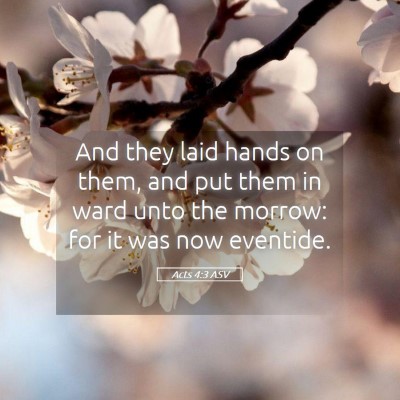 Picture 05 - Acts 4:3 ASV - And they laid hands on them, and put them in ward - Bible Verse Picture