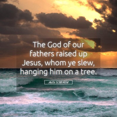 Picture 05 - Acts 5:30 ASV - The God of our fathers raised up Jesus, whom ye - Bible Verse Picture