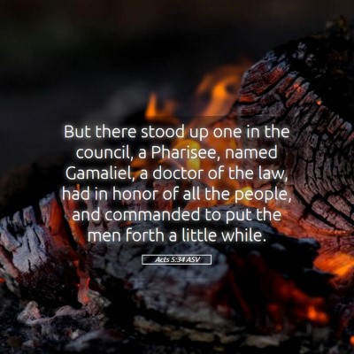 Picture 05 - Acts 5:34 ASV - But there stood up one in the council, a - Bible Verse Picture