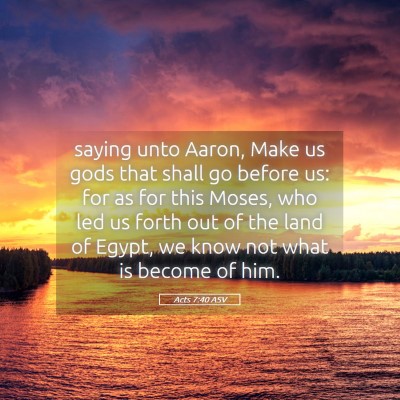 Picture 05 - Acts 7:40 ASV - saying unto Aaron, Make us gods that shall go - Bible Verse Picture