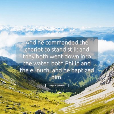 Picture 05 - Acts 8:38 ASV - And he commanded the chariot to stand still: and - Bible Verse Picture