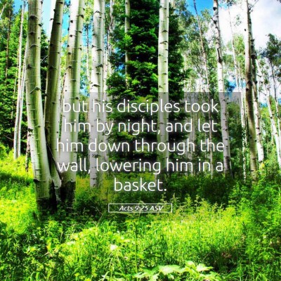 Picture 05 - Acts 9:25 ASV - but his disciples took him by night, and let him - Bible Verse Picture