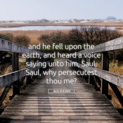 Picture 05 - Acts 9:4 ASV - and he fell upon the earth, and heard a voice - Bible Verse Picture