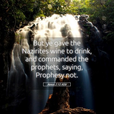 Picture 05 - Amos 2:12 ASV - But ye gave the Nazirites wine to drink, and - Bible Verse Picture