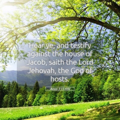 Picture 05 - Amos 3:13 ASV - Hear ye, and testify against the house of Jacob, - Bible Verse Picture