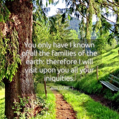 Picture 05 - Amos 3:2 ASV - You only have I known of all the families of the - Bible Verse Picture